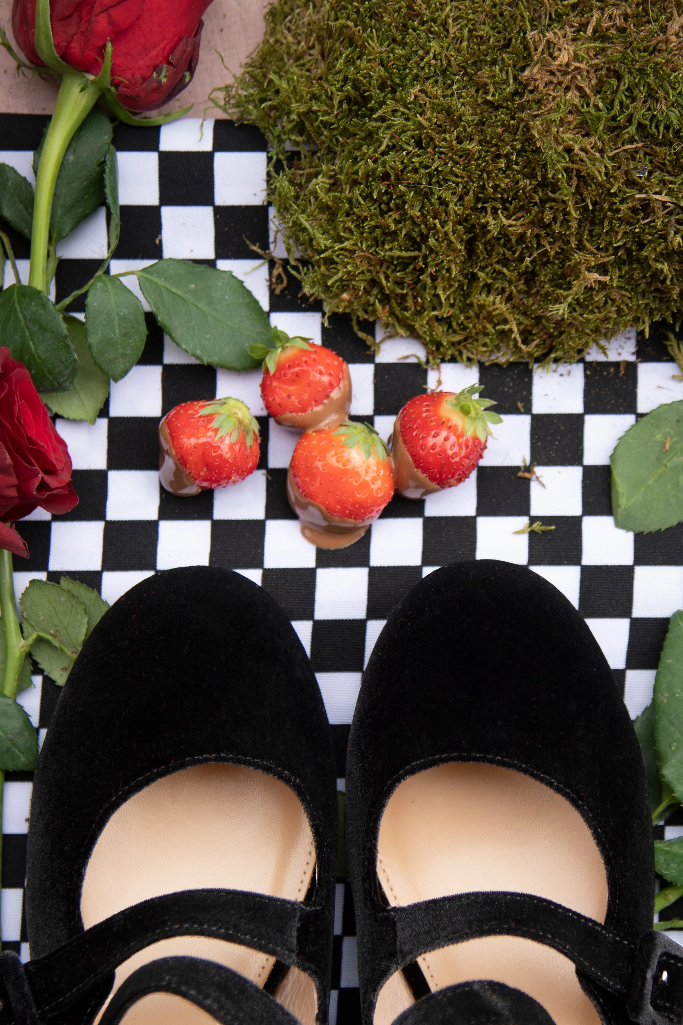 Alice Velvet Wonderland