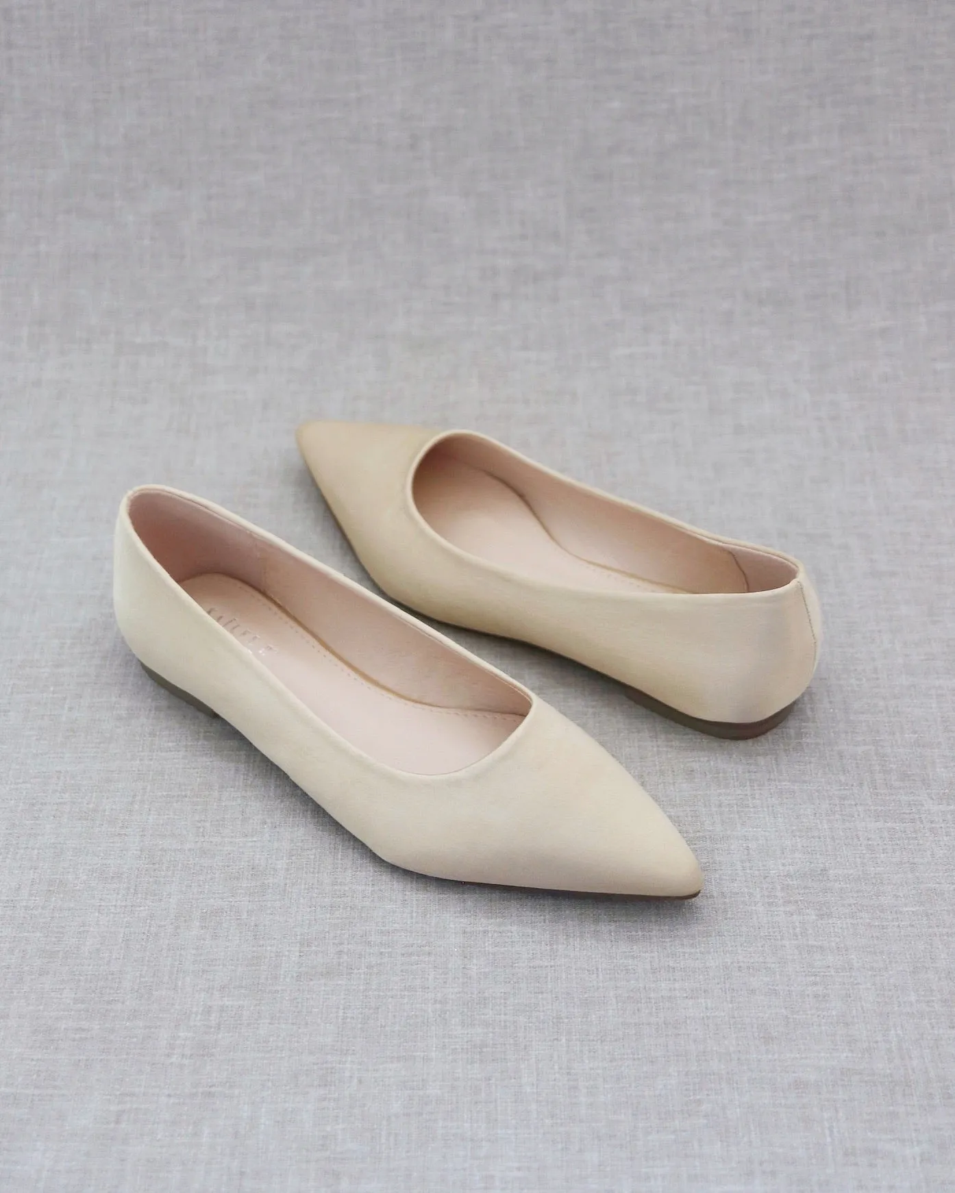 Pointy Toe Flats